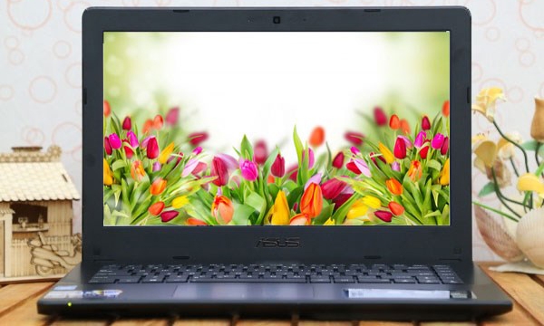 Asus-P450LAV